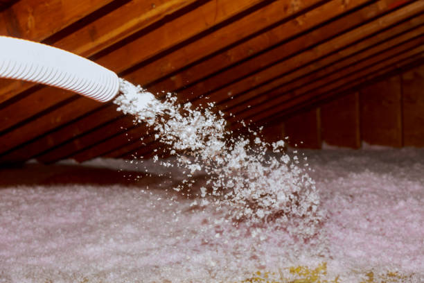 Best Residential Insulation in Westvale, NY